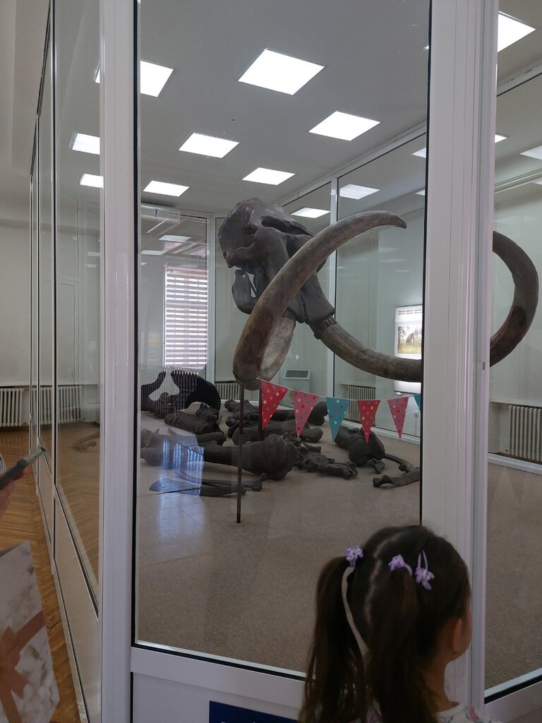 IMG e77af46915eb927190dafd216bb8a688 V